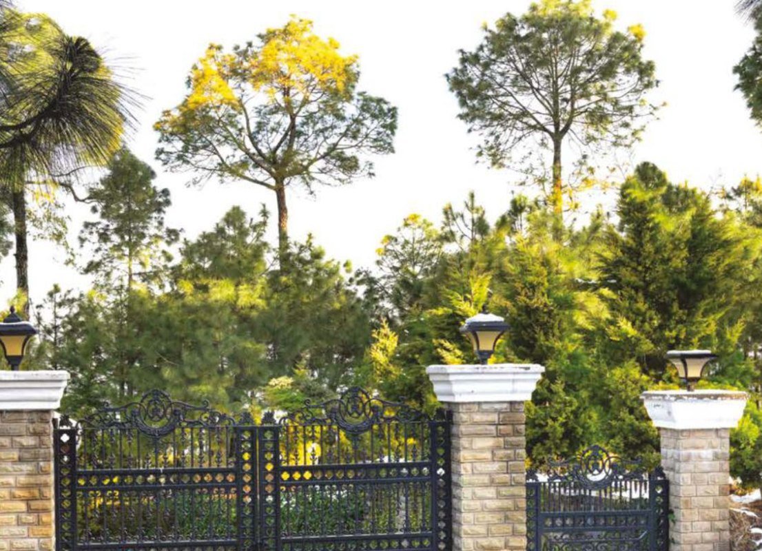Grand entrance